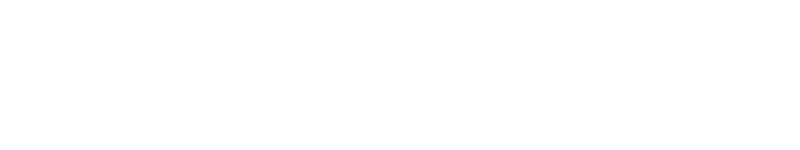 BISTURI